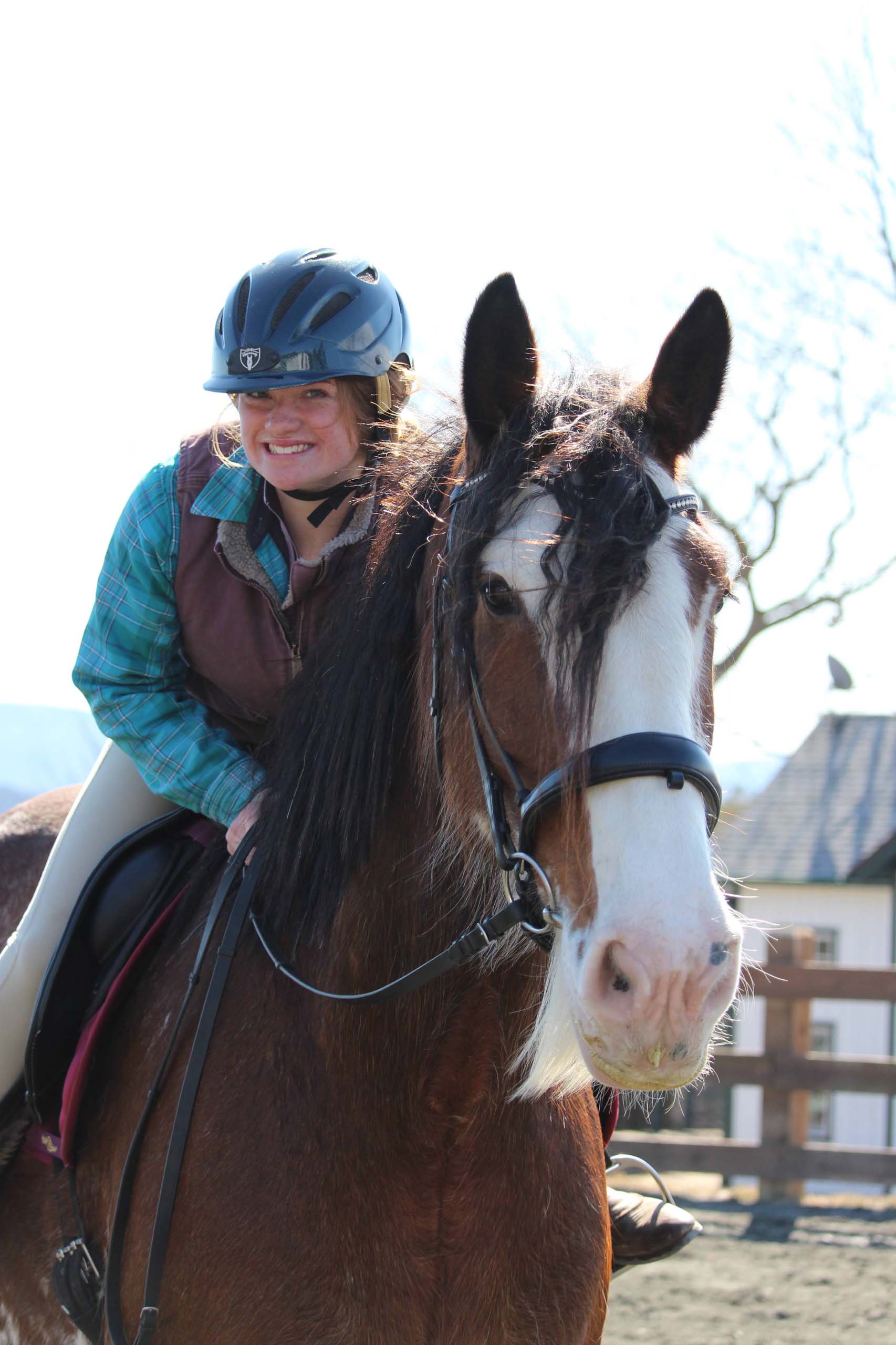 Plan a visit or tour — use the form to reach Full Circle Farm in Newport, NH